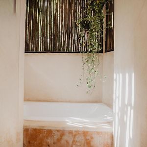 Garden View Suite